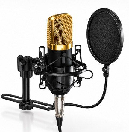 MICROFONO PROFESIONAL Q-MIC3